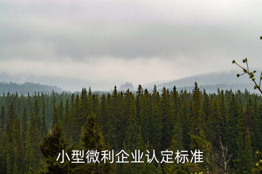 如何確定是小微企業(yè)，小型微利企業(yè)認(rèn)定標(biāo)準(zhǔn)