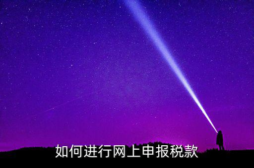 稅務(wù)如何在線申報，如何網(wǎng)上稅務(wù)申報