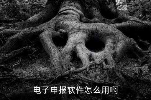 濟(jì)南電子稅務(wù)如何使用，網(wǎng)上辦稅平臺(tái)手機(jī)app怎么操作