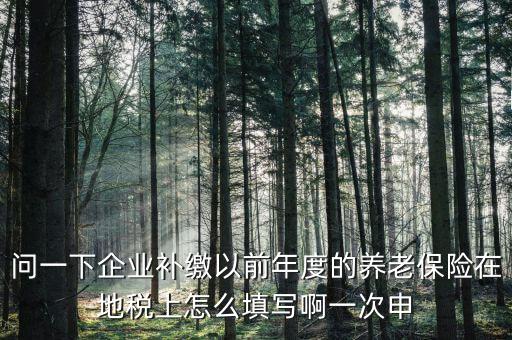 如何補打地稅社會保險費申報表，在網(wǎng)上交完社保后要怎樣補打社會保險費申報表