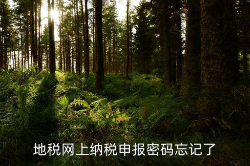 如何在12366查詢地稅密碼，地稅網(wǎng)上納稅申報(bào)密碼忘記了