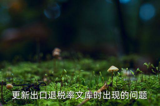 出口退稅文庫如何更新，請(qǐng)問各位出口退稅系統(tǒng)里的代碼庫怎么更新啊怎么老沒反應(yīng)的呢