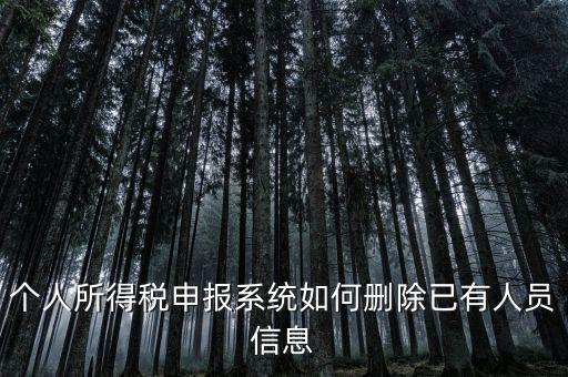 金三系統(tǒng)個稅申報人員如何刪除，如何刪掉個人所得稅人員信息
