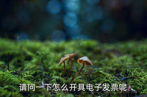 上海如何申領(lǐng)電子發(fā)票，請(qǐng)問(wèn)一下怎么開(kāi)具電子發(fā)票呢