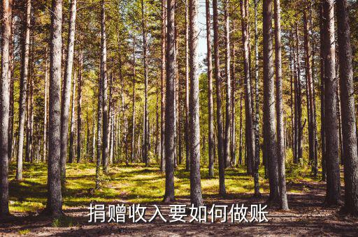 捐贈(zèng)給個(gè)人如何入賬，捐贈(zèng)收入要如何做賬
