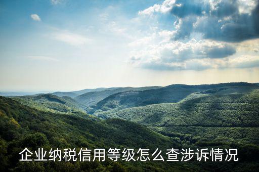 如何查詢企業(yè)納稅評級，如何查詢企業(yè)50萬 還是80萬升級一般納稅人