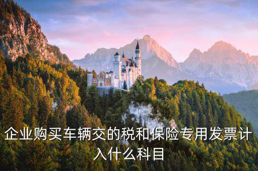 汽車保險收到專票如何入賬，車輛保險怎么入賬