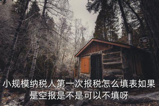 如何填寫(xiě)首次辦稅補(bǔ)充信息表，稅務(wù)登記補(bǔ)充信息采集表怎么填 誰(shuí)知道啊