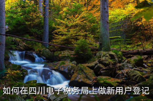 成都稅務(wù)個(gè)人賬號(hào)如何注冊(cè)，如何在四川電子稅務(wù)局上做新用戶登記