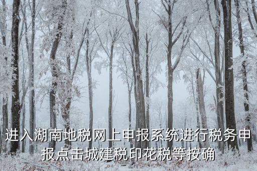 湖南省地稅局個(gè)人如何注冊(cè)，湖南地稅網(wǎng)上申報(bào)系統(tǒng)