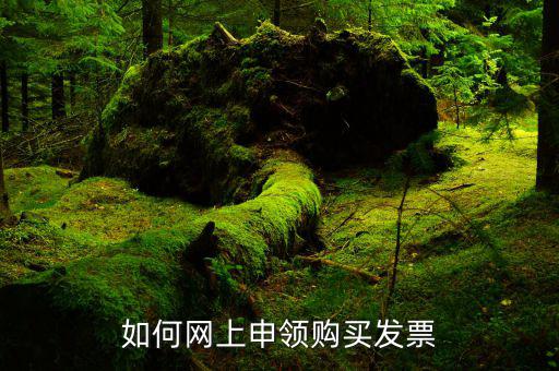 重慶市如何網(wǎng)上發(fā)票申領(lǐng)，網(wǎng)上領(lǐng)用發(fā)票怎么操作