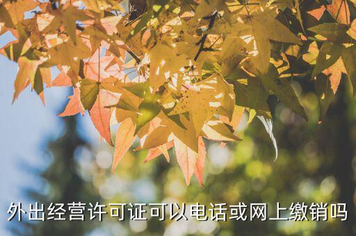浙江網(wǎng)上如何繳銷省內(nèi)外經(jīng)證，外經(jīng)證遺失了但是現(xiàn)在要辦理繳銷怎么辦