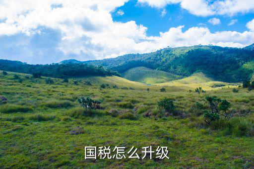 國(guó)稅系統(tǒng)如何適應(yīng)新時(shí)代，如何做好新形勢(shì)下的國(guó)稅工作