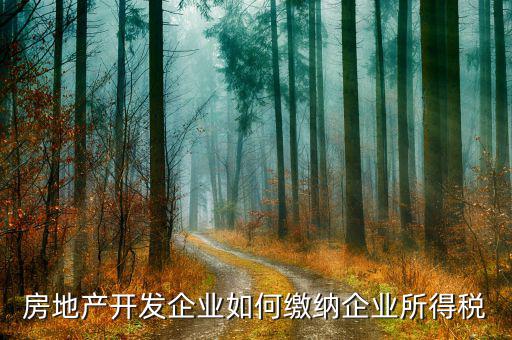 房地產(chǎn)企業(yè)異地開發(fā)如何納稅，急房地產(chǎn)開發(fā)企業(yè)如何交稅