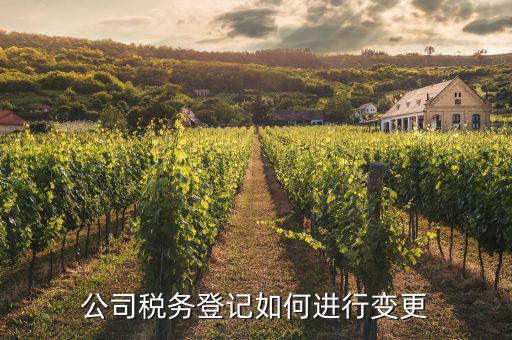 稅務(wù)更改登記如何辦理，公司稅務(wù)登記如何進(jìn)行變更