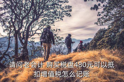 老項目的稅務(wù)如何抵減，銷項稅和進項稅怎么抵扣啊