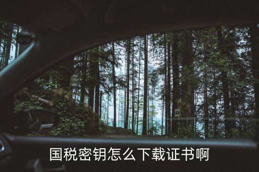 如何安裝稅務(wù)密鑰，從稅務(wù)局考回來的進項稅網(wǎng)上抵扣的系統(tǒng)的密鑰怎么安裝啊