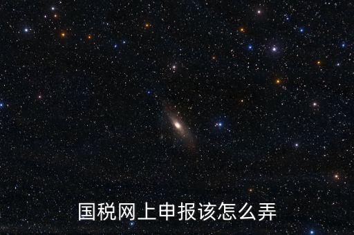 國稅新系統(tǒng)如何申報(bào)，國稅網(wǎng)上申報(bào)該怎么弄