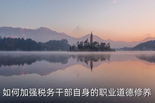 如何加強稅務干部自身的職業(yè)道德修養(yǎng)