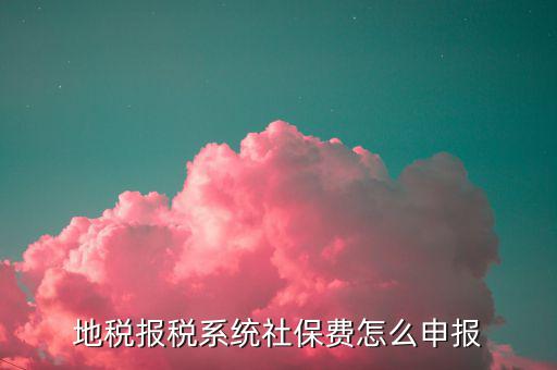 地稅報稅系統(tǒng)社保費(fèi)怎么申報