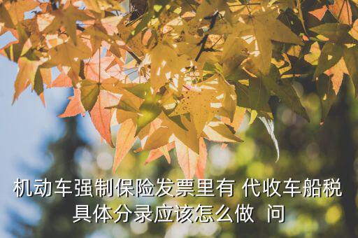代收車船費如何記賬，機動車強制保險發(fā)票里有 代收車船稅具體分錄應(yīng)該怎么做  問