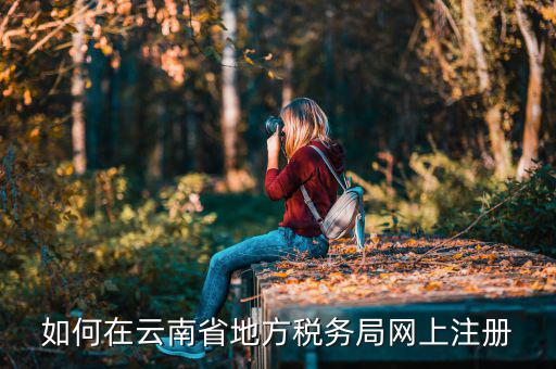 如何進(jìn)入云南稅務(wù)系統(tǒng)上報(bào)稅，如何在云南省地方稅務(wù)局網(wǎng)上注冊(cè)