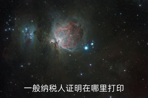 如何打印一般納稅人證明文件，一般納稅人資格認(rèn)定表如何在網(wǎng)上打印文書
