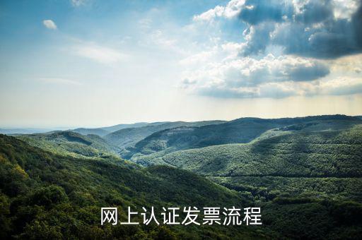 網上認證發(fā)票流程