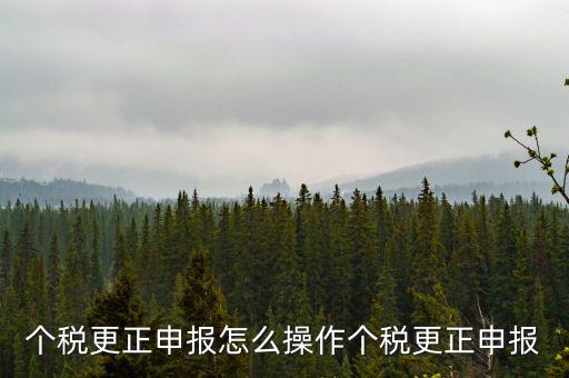 福建個(gè)人所得稅如何申報(bào)更正，個(gè)稅申報(bào)錯(cuò)了如何更正