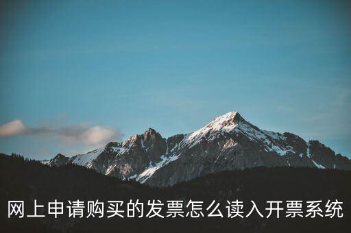 網上申請購買的發(fā)票怎么讀入開票系統(tǒng)