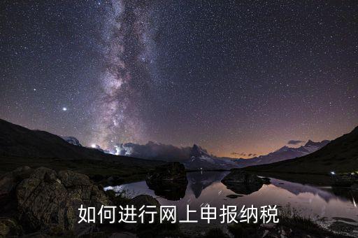 如何設(shè)置稅務(wù)網(wǎng)站，如何進(jìn)行網(wǎng)上申報(bào)納稅