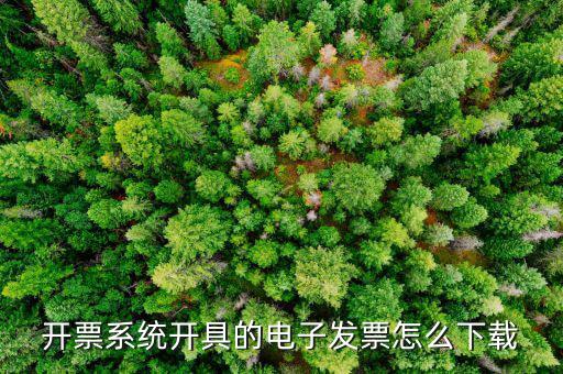 稅友的電子發(fā)票如何下載，開票系統(tǒng)開具的電子發(fā)票怎么下載