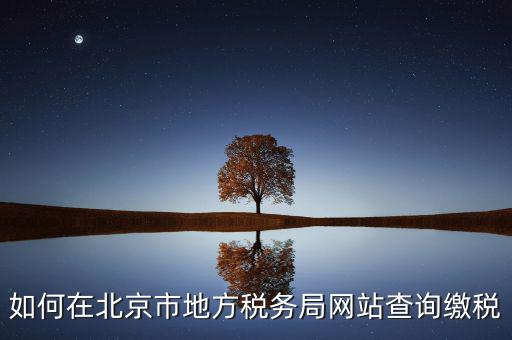北京地稅官網(wǎng)如何注冊個人登錄，個人所得稅網(wǎng)上申報流程
