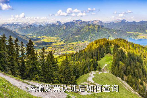 運輸發(fā)票認(rèn)證后如何查詢