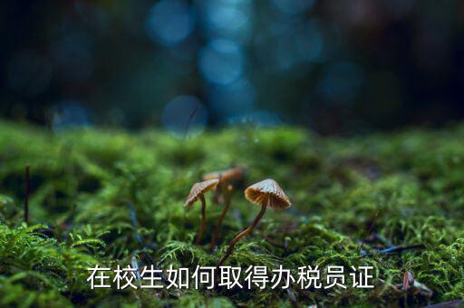 網(wǎng)上如何添加辦稅員，個稅網(wǎng)絡(luò)在線報(bào)稅如何增加新人員信息