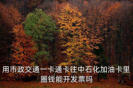 用市政交通一卡通卡往中石化加油卡里圈錢(qián)能開(kāi)發(fā)票嗎