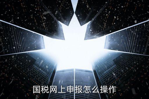 福建省國稅所得稅如何登入申報，福建省國稅申報相關問題