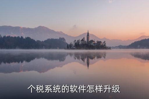 稅務系統(tǒng)如何升級1128，稅控發(fā)票開票系統(tǒng)稅控盤怎么升級