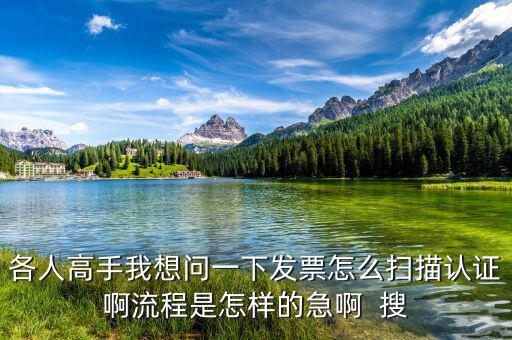 如何掃描認(rèn)證發(fā)票，各人高手我想問一下發(fā)票怎么掃描認(rèn)證啊流程是怎樣的急啊  搜