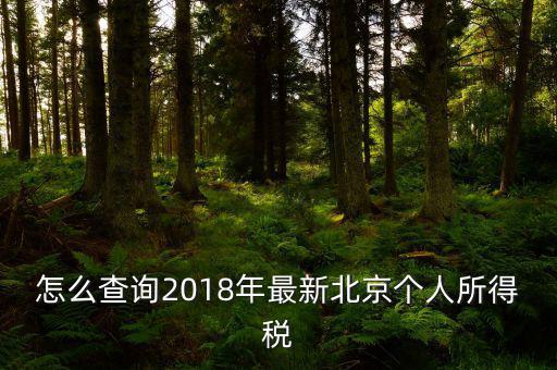 北京如何查詢(xún)個(gè)稅完稅證明，怎么查詢(xún)2018年最新北京個(gè)人所得稅
