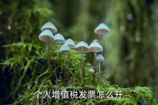 個人如何開增值稅普票，開增值稅普通發(fā)票個人怎么開