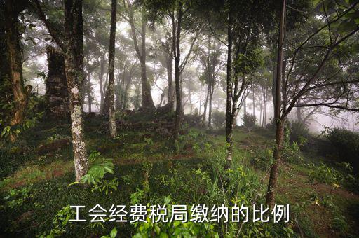 稅局代收的工會經(jīng)費應如何交納，稅務局代收的工會經(jīng)費怎么交