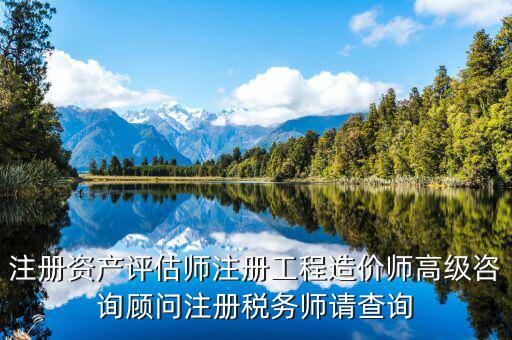 注冊(cè)資產(chǎn)評(píng)估師注冊(cè)工程造價(jià)師高級(jí)咨詢(xún)顧問(wèn)注冊(cè)稅務(wù)師請(qǐng)查詢(xún)