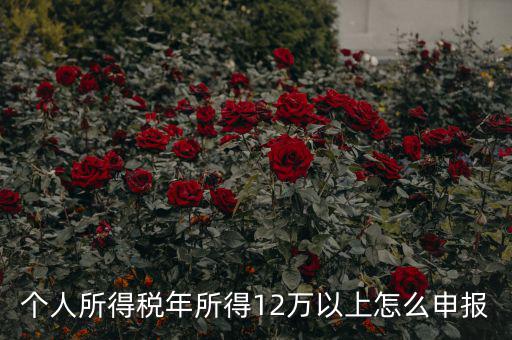 陜西地稅 12萬(wàn)以上如何申報(bào)，個(gè)人所得稅年所得12萬(wàn)以上怎么申報(bào)