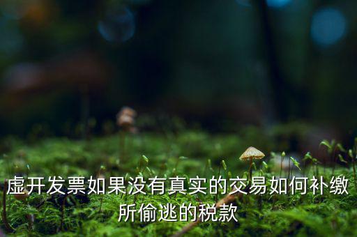 虛開發(fā)票如果沒有真實的交易如何補(bǔ)繳所偷逃的稅款