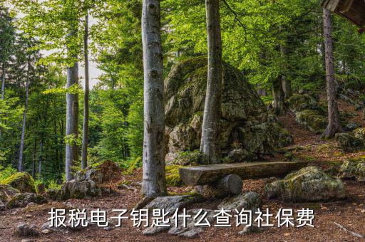 電子稅務(wù)局如何查社保，稅控盤上交五險(xiǎn)了怎么打印出來