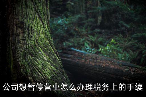 北京市如何辦理單位稅務(wù)暫停，企業(yè)暫停營(yíng)業(yè)怎么辦理