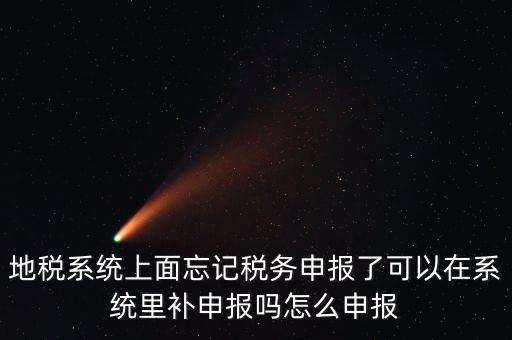 地稅如何補充申報表，地稅系統(tǒng)上面忘記稅務申報了可以在系統(tǒng)里補申報嗎怎么申報