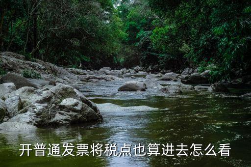 開(kāi)普通發(fā)票將稅點(diǎn)也算進(jìn)去怎么看