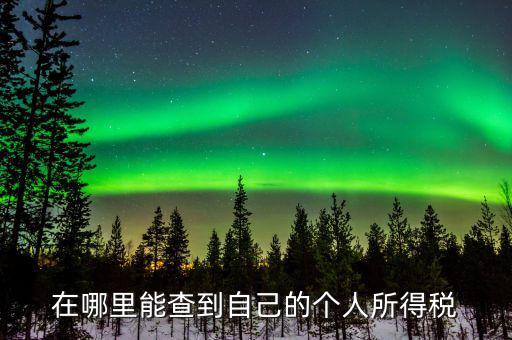 稅務(wù)如何查個稅，個稅怎么查